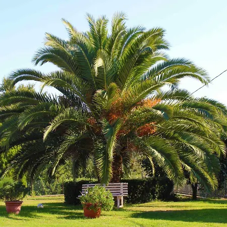Il Roseto di Daniela-2